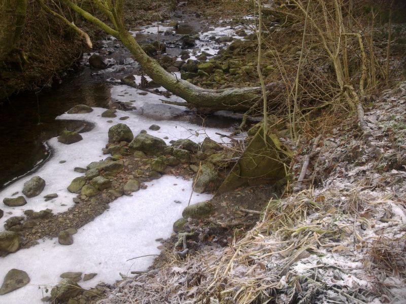 Partly Submerged Tram in Bank of River Pedol