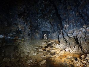 Tunnel Looking Towards Entrance